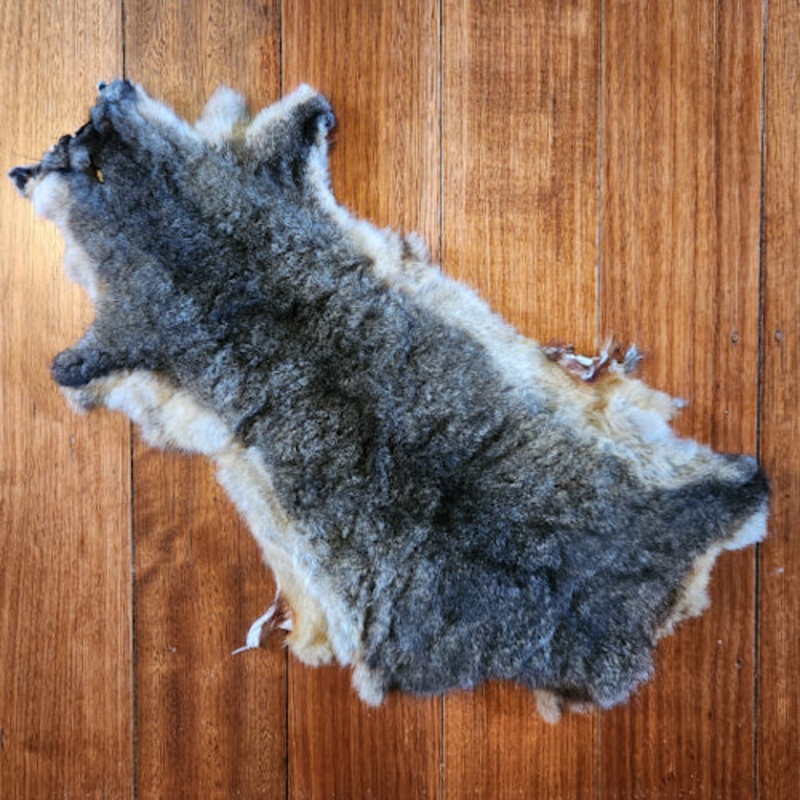 New Zealand Possum Hide #317