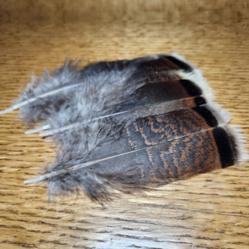 Wild Turkey Flats White Tipped