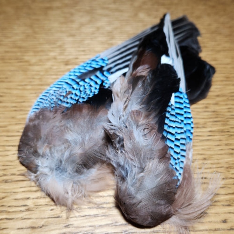 Veniard Jay Whole Wings