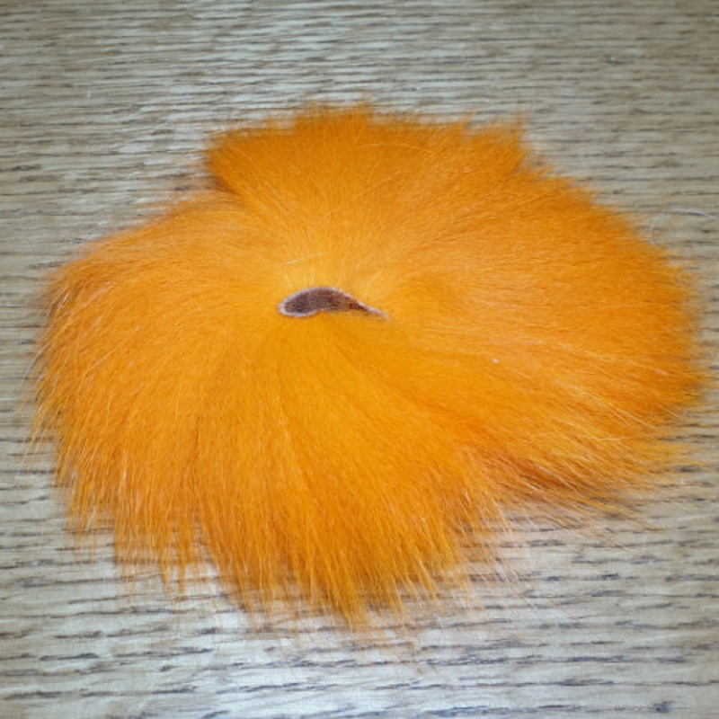 Arctic Fisherman Arctic Fox Blue Fox Orange