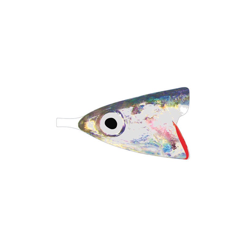 Pro Anchovy Foils|XX Small 28pc|X Small 24pc|Small 20pc|Medium 22pc|Large 20pc|X Large 18pc