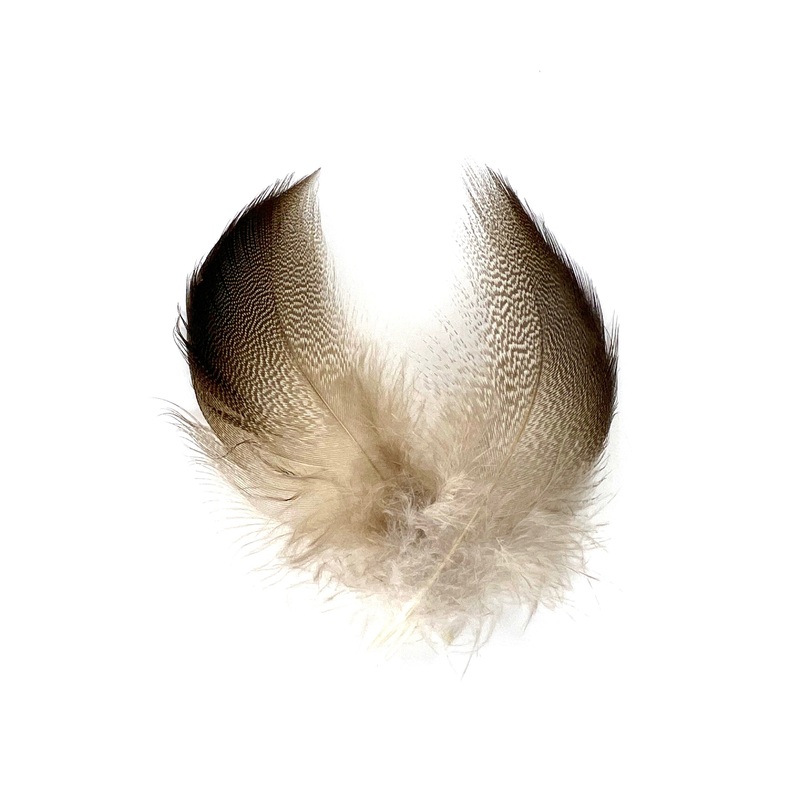 Bronze Mallard|3 Pair|12 Pair
