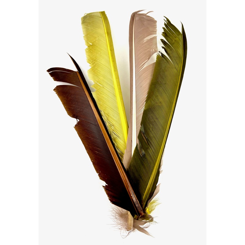 Turkey Biot Quills|PMD|Callibaetis|Brown|Black|Olive