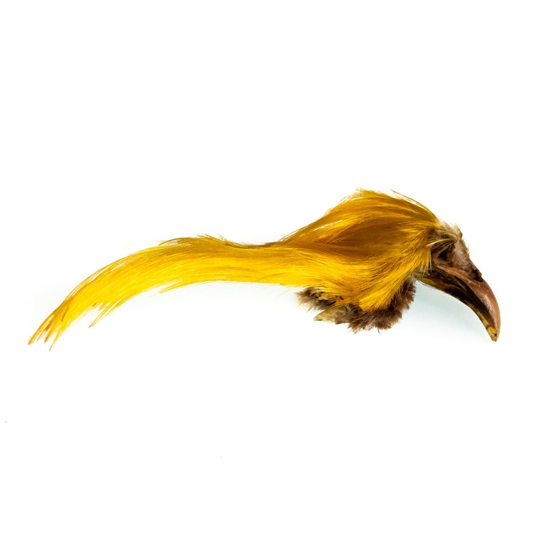 Golden Pheasant Crest|Natural|Black|Purple|Red|Hot Orange