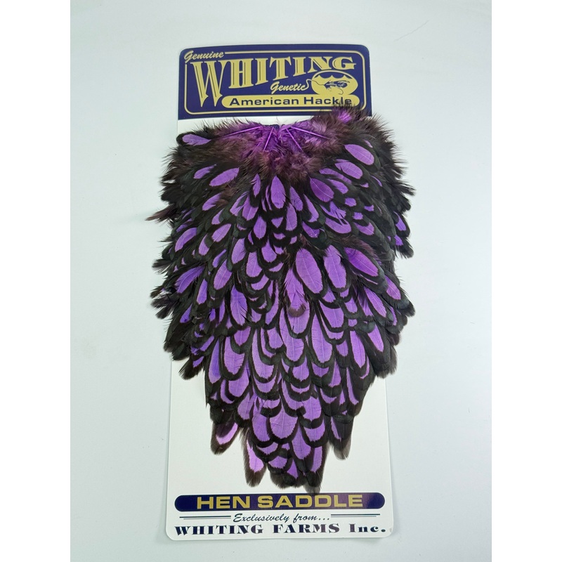 Whiting American Hen Saddle Black Laced White