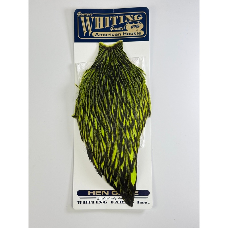 Whiting American Hen Cape Black Laced White