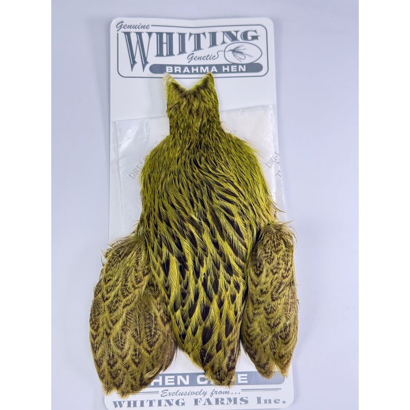 Whiting Brahma Hen Cape|Badger dyed Medium Dun|Badger dyed Olive|Cream Badger|Golden Olive|Natural Mottled Wild Type|Dyed Natural Brown