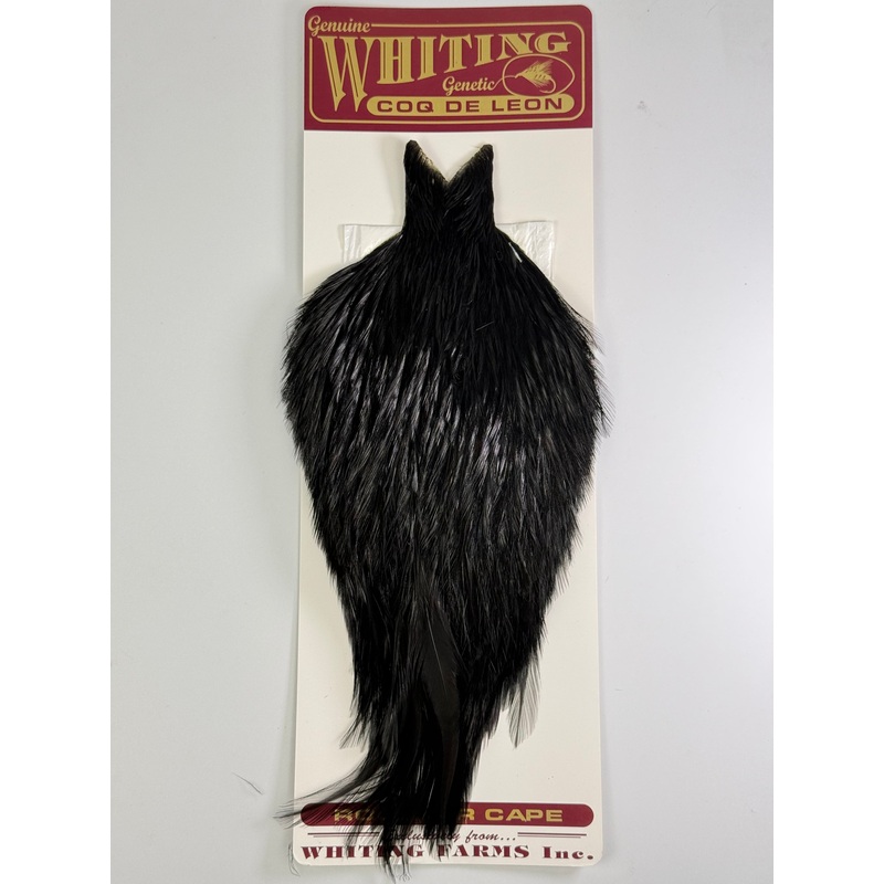 Whiting COQ De Leon Rooster Cape