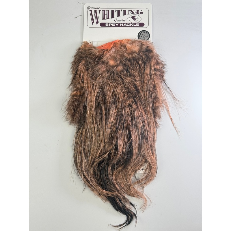 Whiting Spey Hackle Saddle|Silver Grade|Grizzly Dyed Salmon|Grizzly|Grizzly Dyed Tan|Grizzly Dyed Red|Grizzly Dyed Pink|Grizzly Dyed SHell Pink|Grizzly Dyed Olive|White|Black