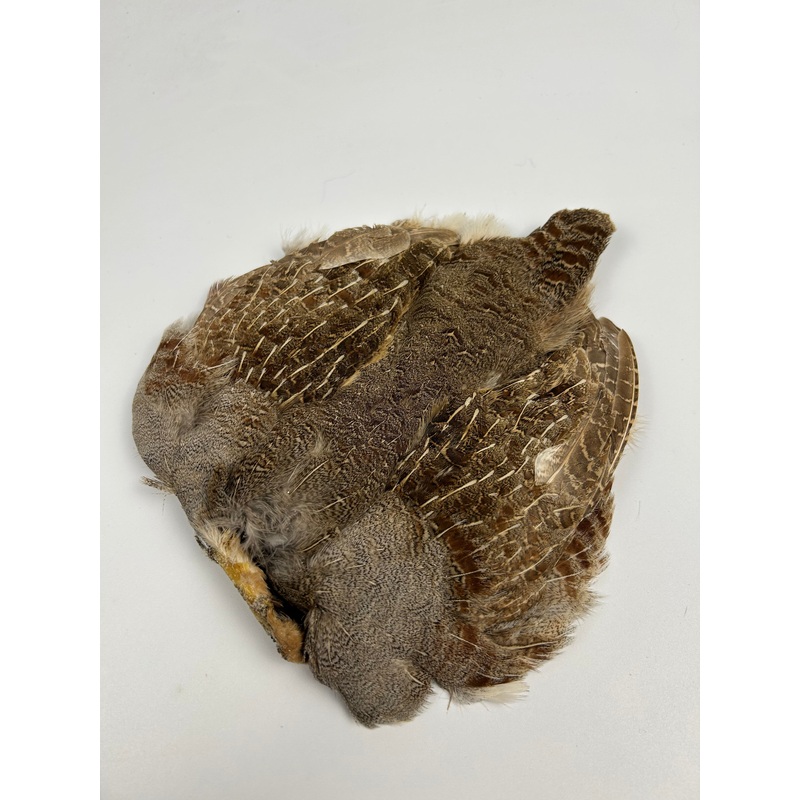 Grade #1 Hungarian Partridge Skin – Natural