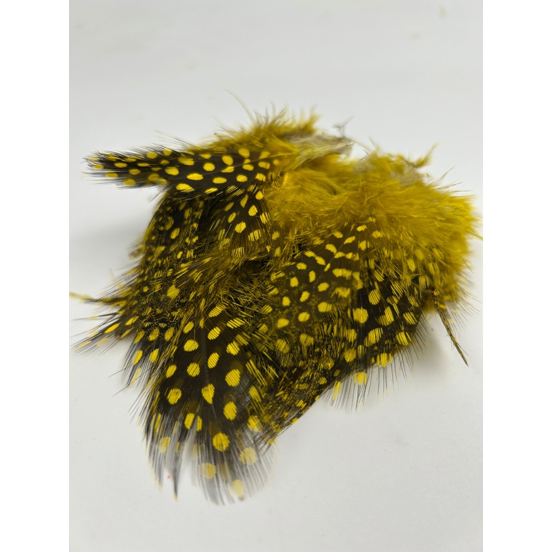 Waters West Large Dot Guinea|Olive|Yellow