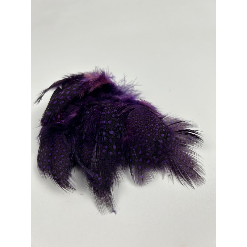 Waters West Small Dot Guinea|Bright Purple|Chartreuse