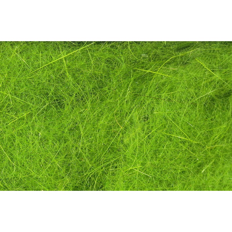 Hareline Dubbin|Dark Hare’s Ear|Hare’s Ear|Olive Hare’s Ear|Olive|Caddis Green|Black|Light Cahill|Dark Dun|Rust Orange|Dark Olive Brown|Yellow|White|Bright Yellow|Stonefly|Fluorescent Lime Green|Fl. Orange