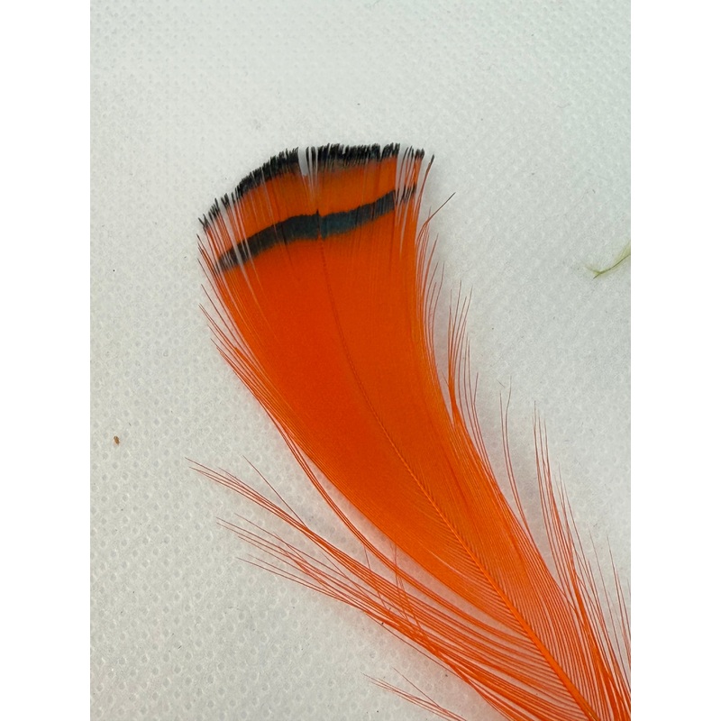 Amherst Pheasant Tippets|Fl Blue|Natural|Highlander Green|Red|Orange|Purple