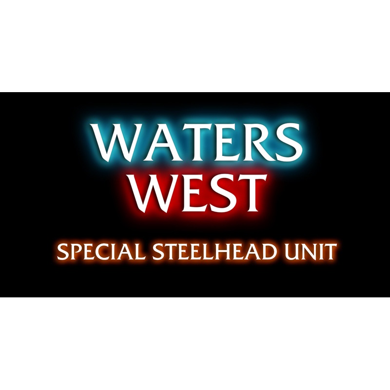 Special Steelhead Unit Sticker