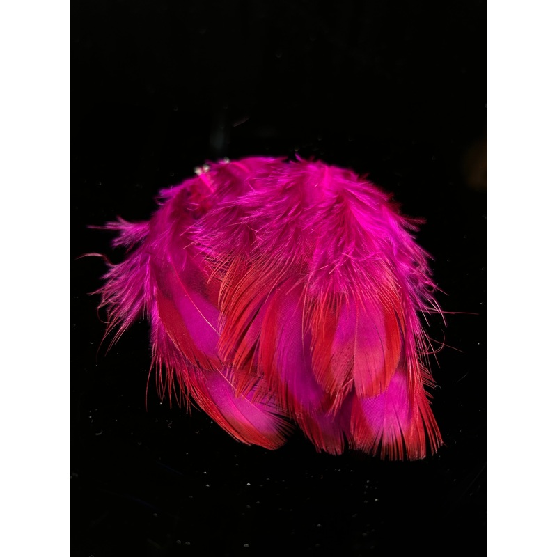 Temmincks Tragopan Flank Feathers