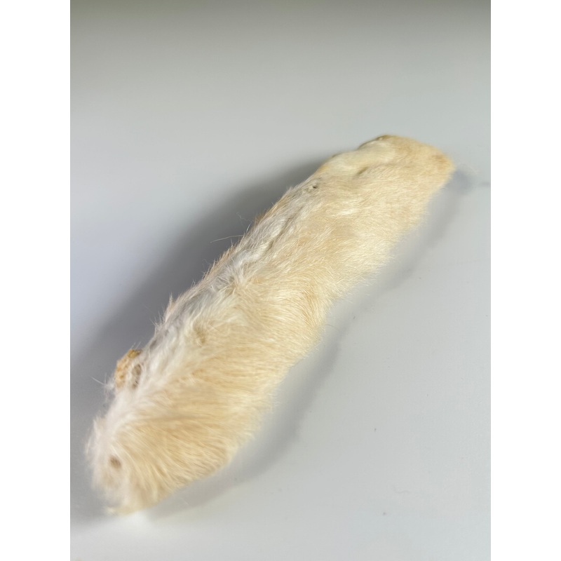 Snowshoe Hare’s Foot|Natural Cream|Black|Bleached White|Dun Grey