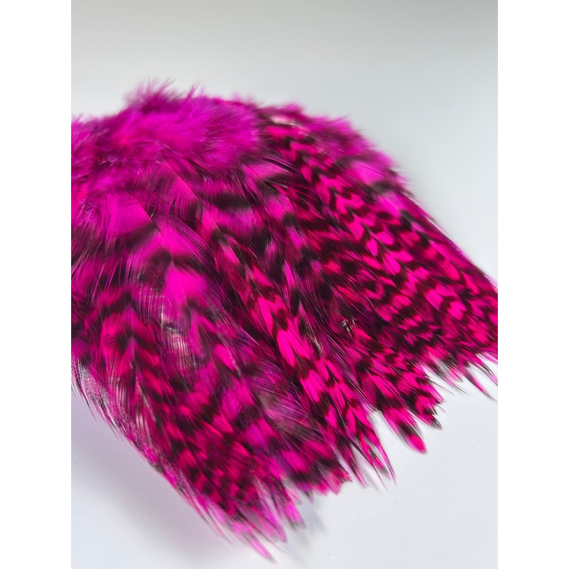 Strung Grizzly Hackle Dyed Fuchsia 4-6