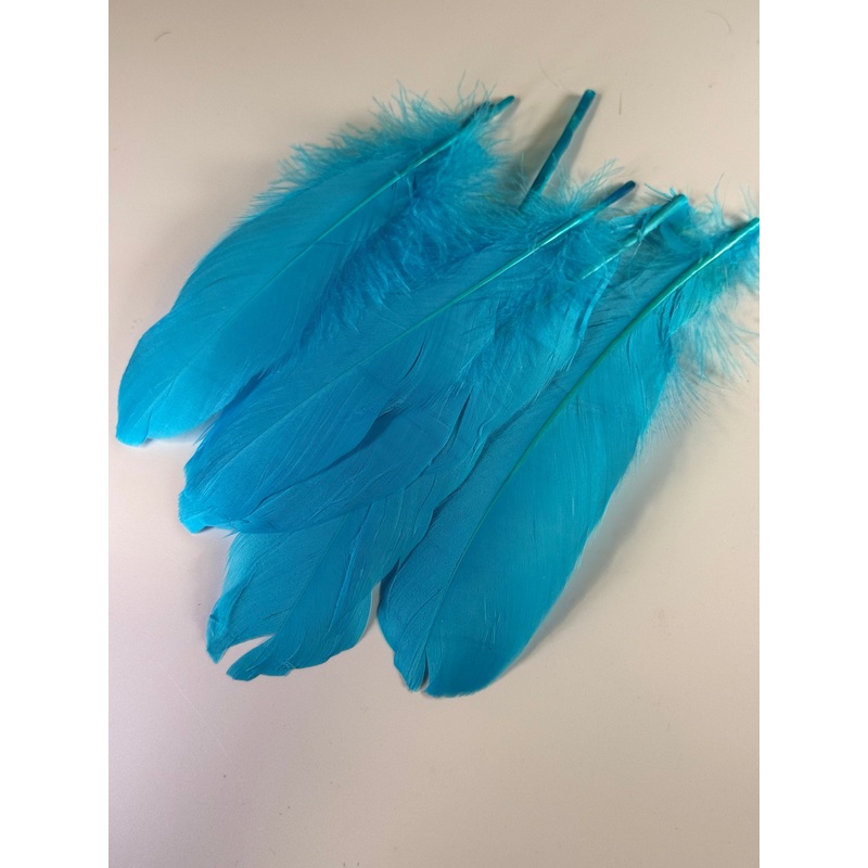 Waters West Bargain Goose Shoulder
