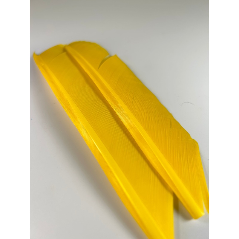 Turkey Biot Quill Pieces|Yellow|White