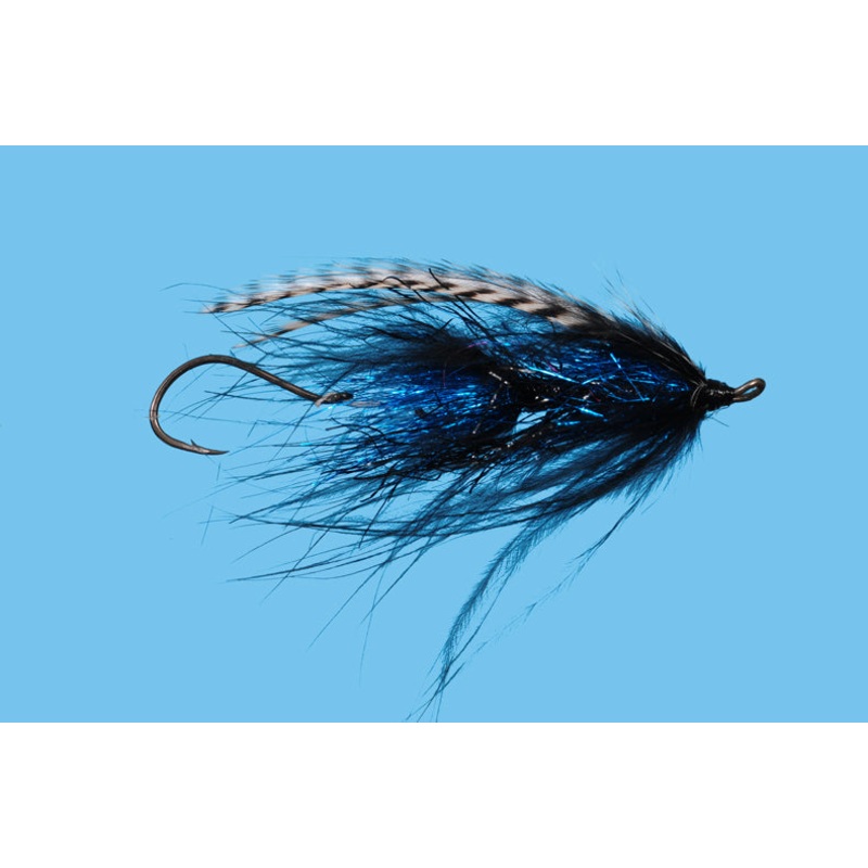 Burnt Chicken|2|Black|Blue|Pink