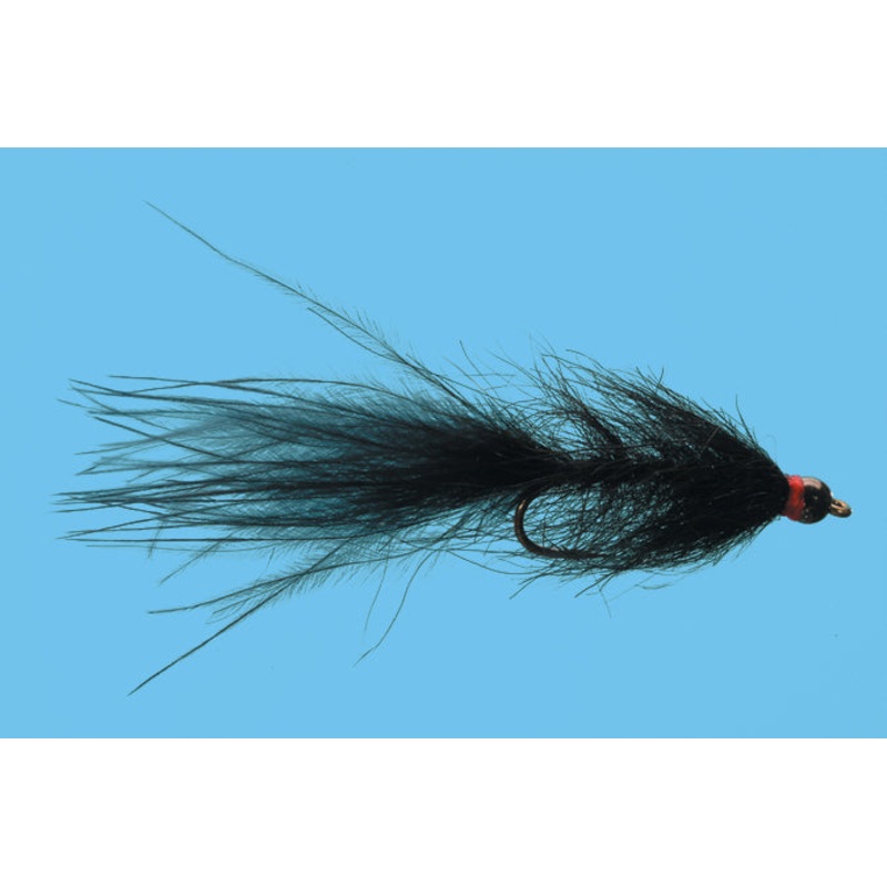 BH Hale Bopp Leech|10|Black|Olive|Brown|Wine