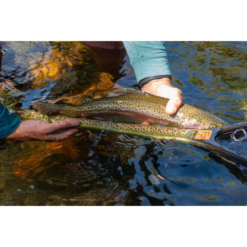 Nomad Middle Fork Net|Brown Trout|Shadowcast Camo|Hook Jaw Edition