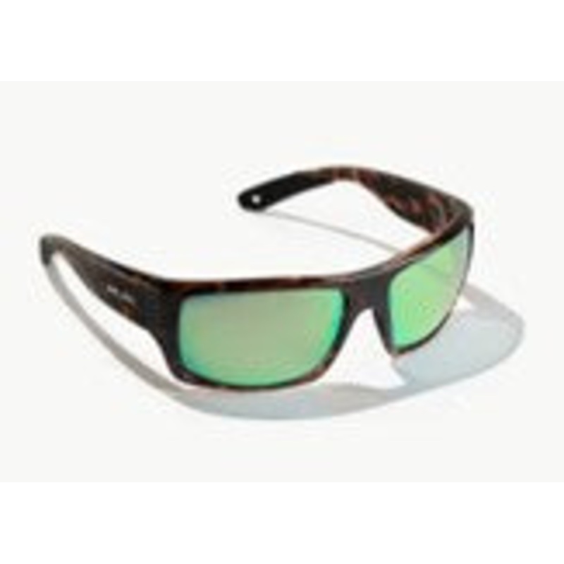 Bajio Nato: Brown Tortoise Gloss Frame / Green Mirror Glass / XLarge