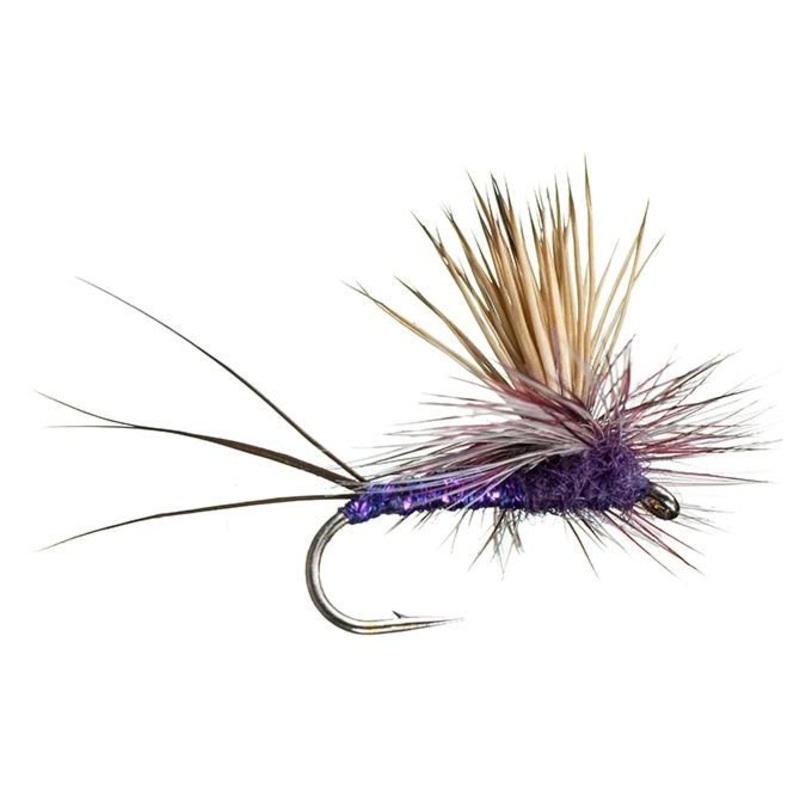 Rocky Mountain Mint Dry Fly|Purple|BWO|PMD||14||16||18
