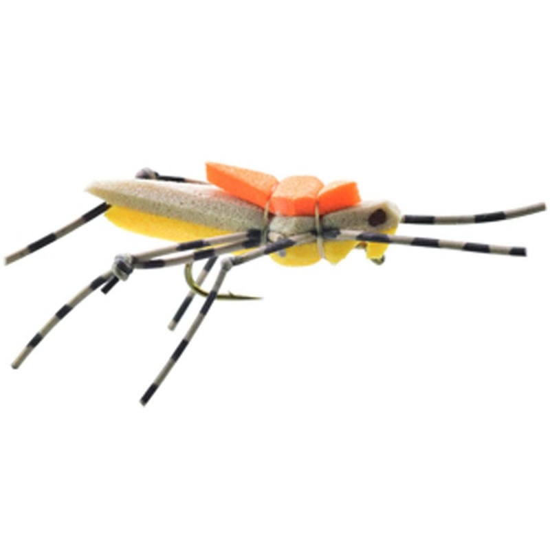 Morrish Hopper|Tan|Gold|Pink|Green|Black||8||10||12||14