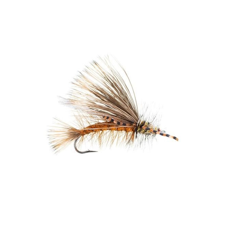 Stimulator Chew Toy Dry Fly|Yellow|Orange||6||14||12||16||10