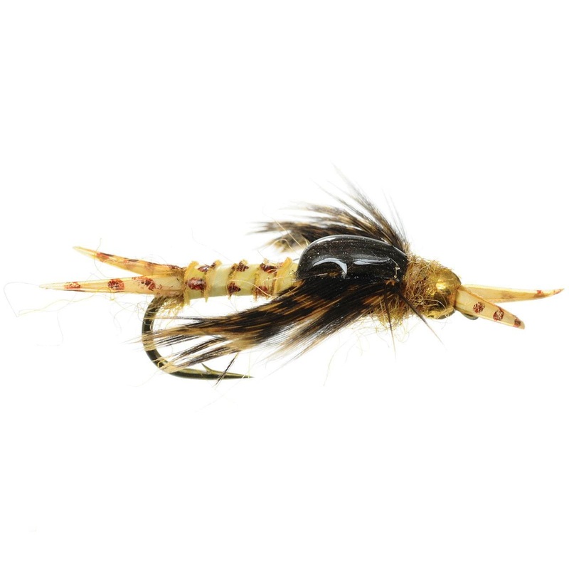 Biot Epoxy Stone Nymph|Brown|Golden|8|10|12|14