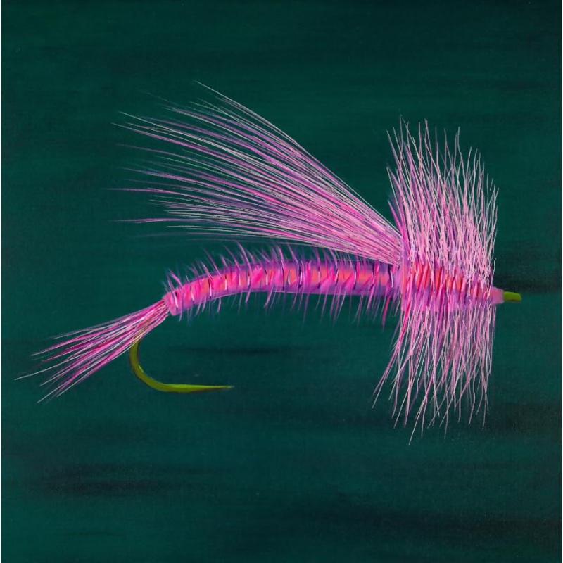 Pink Fly Canvas Print – Zach Otte