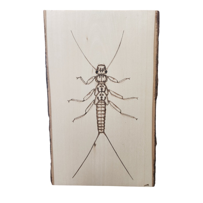 Trout Candy by Mark Usyk