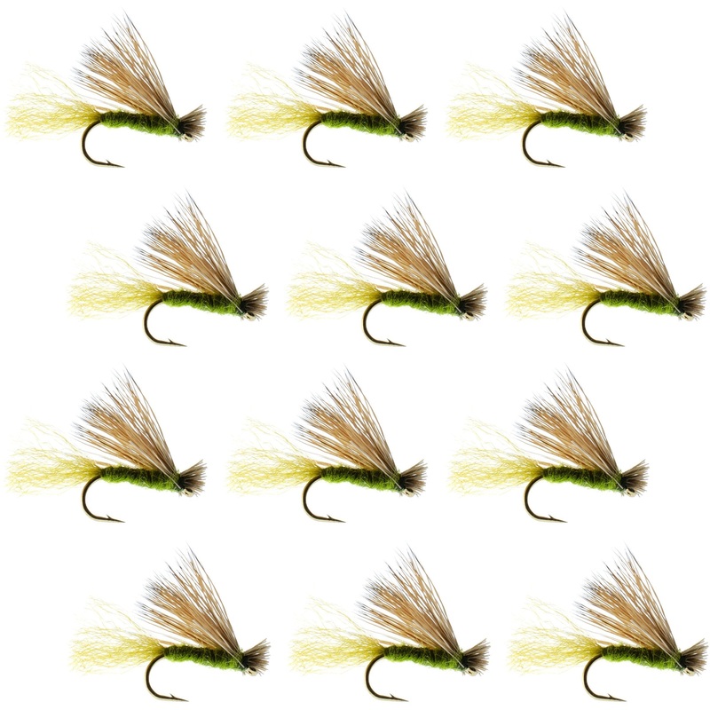 Olive X Caddis Emerging Caddis Adult Trout Dry Fly – 1 Dozen Flies Hook Size 14