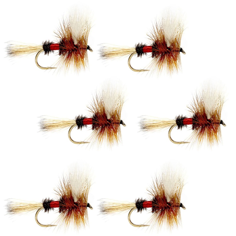 Royal Wulff Classic Trout Dry Fly Fishing Flies – Set of 6 Flies Size 10