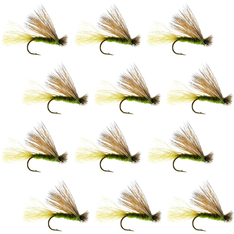 Olive X Caddis Emerging Caddis Adult Trout Dry Fly – 1 Dozen Flies Hook Size 18