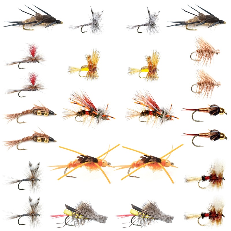 Trout Fly Assortment – Essential Western Dry and Nymph Fly Fishing Flies Collection – 2 Dozen Trout Flies with Fly Box