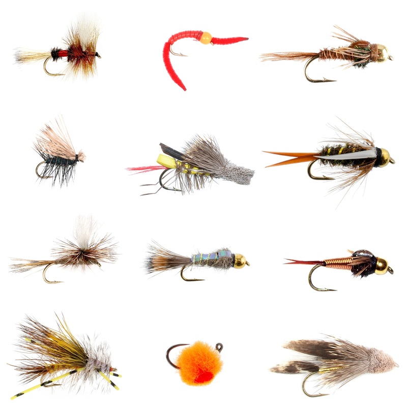 Trout Flies Assortment – 12 Flies for Trout Fly Fishing with Fly Box – Essential Dry and Wet Fly Selection