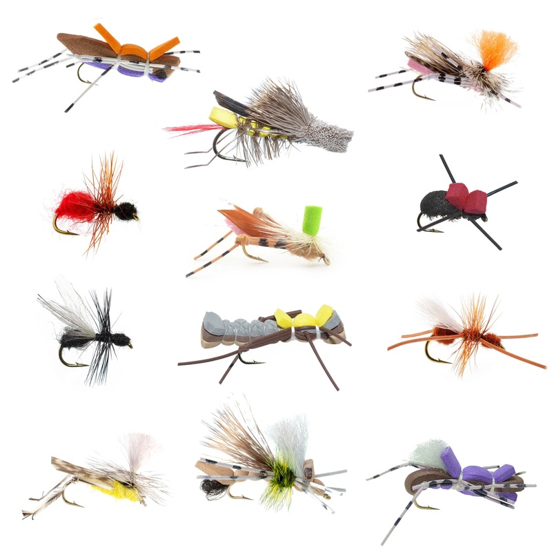 Trout Fly Assortment – Premium Terrestrial Flies – 12 Essential Hoppers, Ants and Beetles with Fly Box