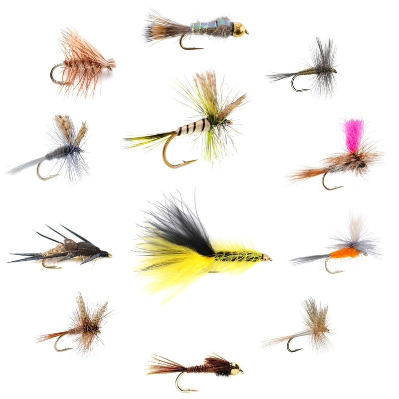 Eastern Trout Fly Assortment – 12 Essential Dry and Nymph Fly Fishing Flies Collection – Trout Flies with Gift Fly Box