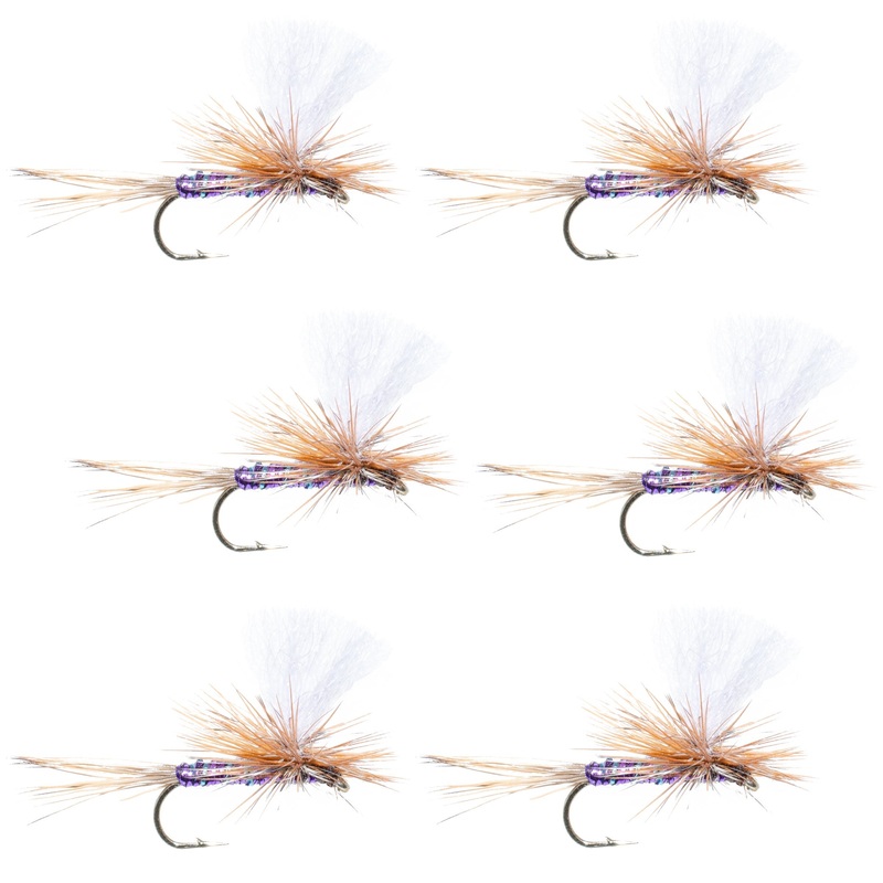 Parachute Super Flash Purple Haze Dry Fly – 6 Flies Size 16
