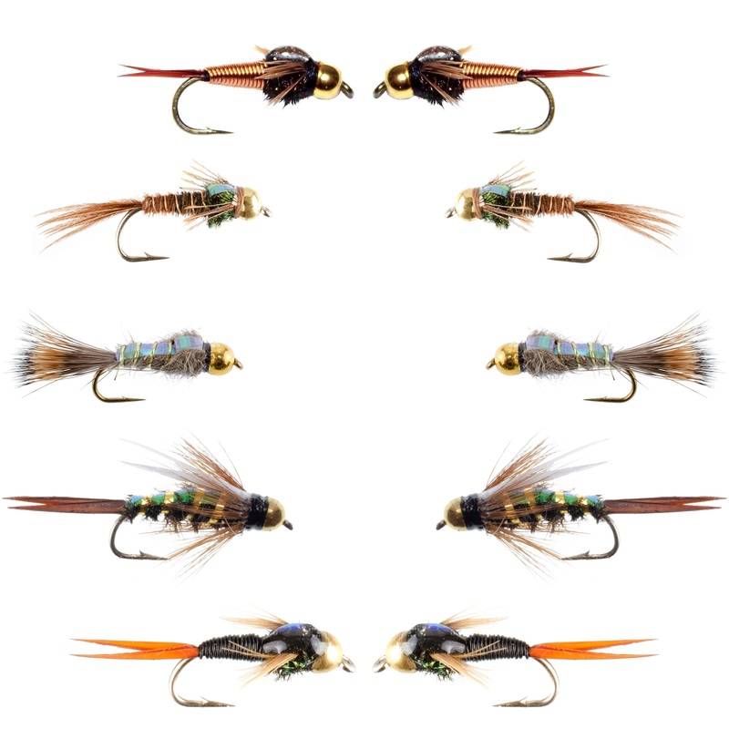 Basics Collection – Flash Back Tungsten Bead Head Nymph Assortment – 10 Wet Flies – 5 Patterns – Hook Sizes 10, 12, 14, 16