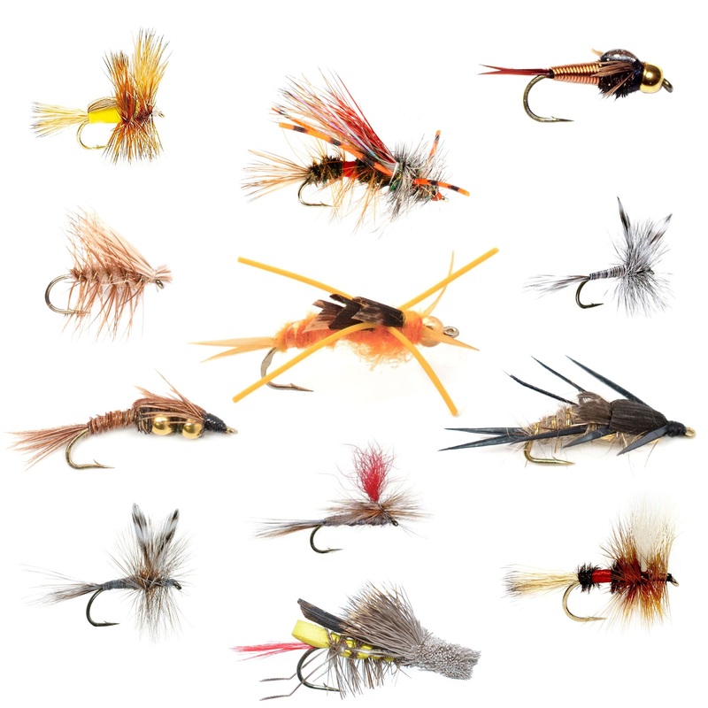 Trout Fly Assortment – Essential Western Dry and Nymph Fly Fishing Flies Collection – 1 Dozen Trout Flies with Fly Box