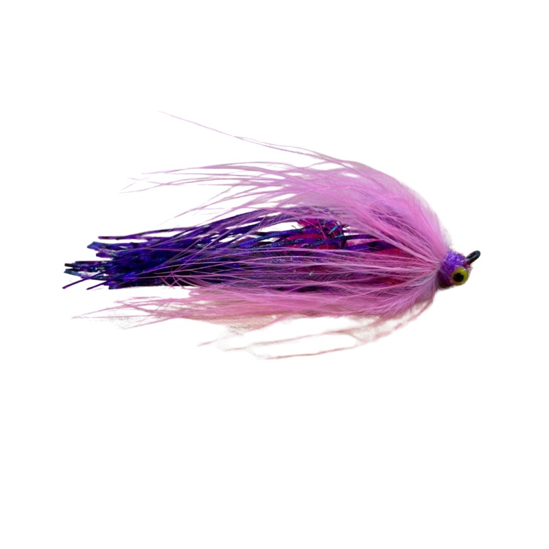 Squidro *Local Favourite*|Black/Blue|Orange/Olive|Black|Pink/Purple|Black/Purple