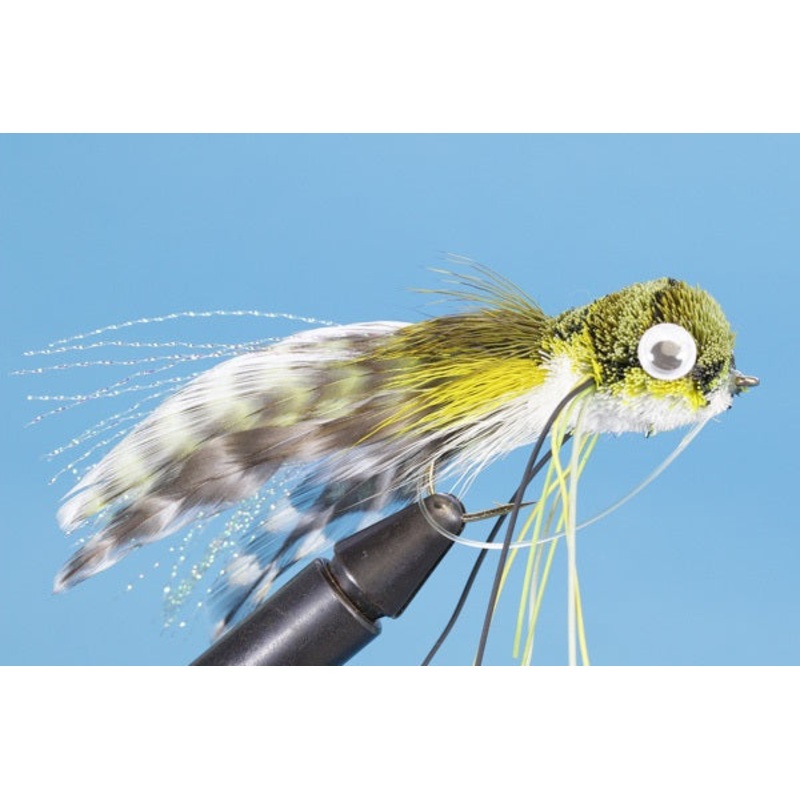 Bass Bug Frog|Olive|Purple|Red|4