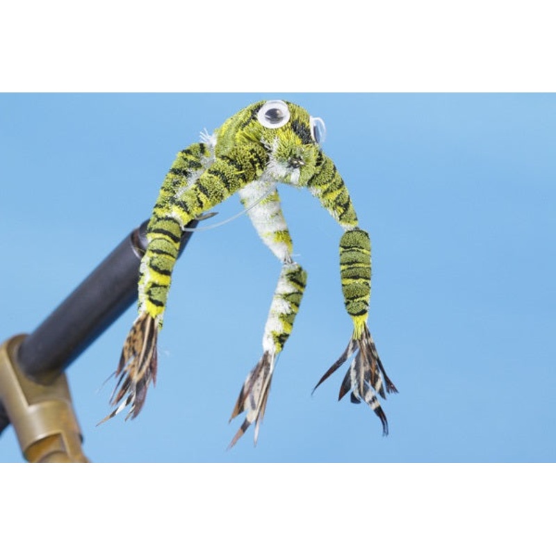 Leopard Frog–Articulating Legs