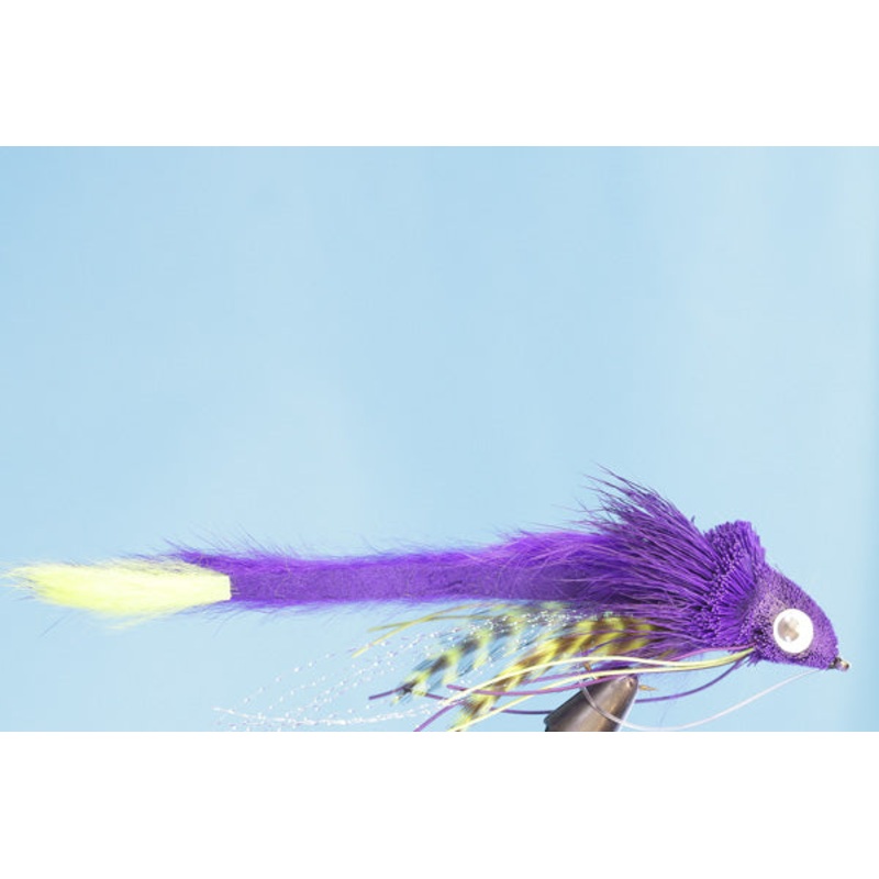 Swimming Water Dog|Black|Olive|Purple|Red|2