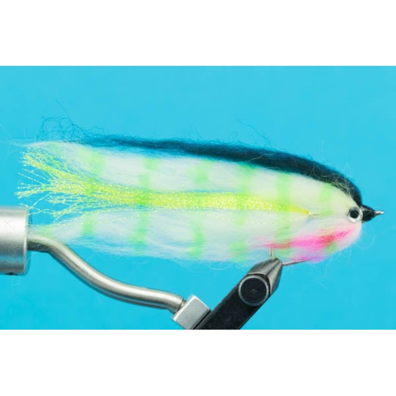 Baitfish Bass|Bass|White|1/0