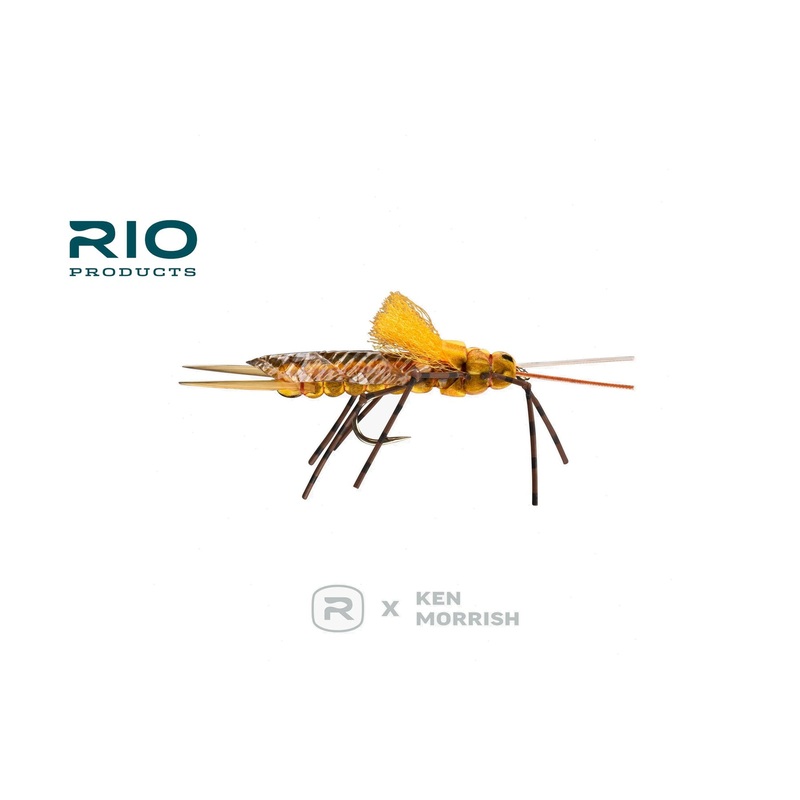 Morrish Still Stone – RIO|Golden|Salmon|8|6